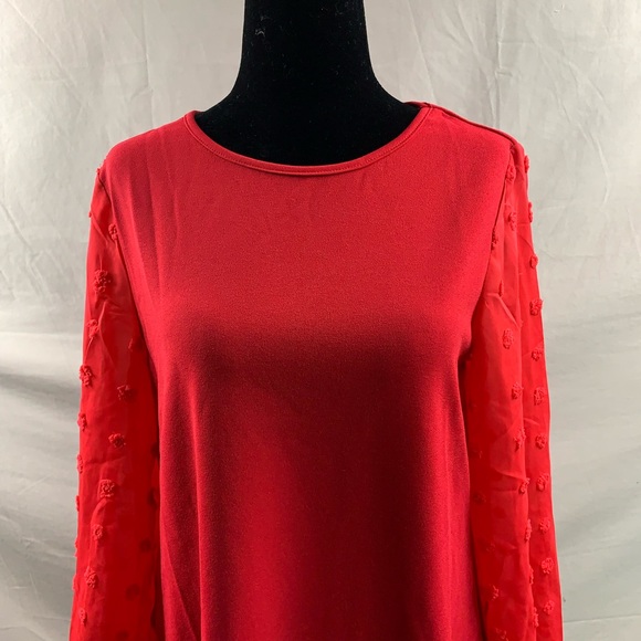 Red Swiss Dot Sheer Sleeve Dress - Picture 7 of 9